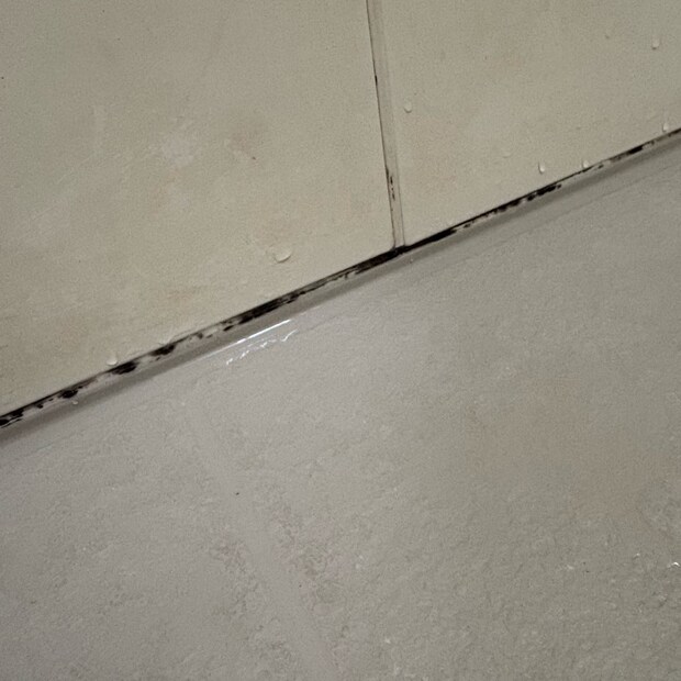 カビホワイトカビ除去ジェルお掃除お風呂掃除カビ取りカビ掃除