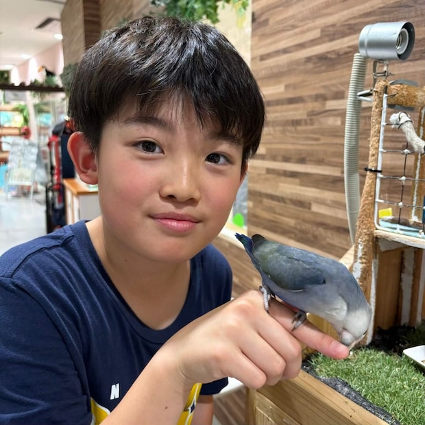 アニタッチお台場店雨の日のお出かけ動物と触れ合い