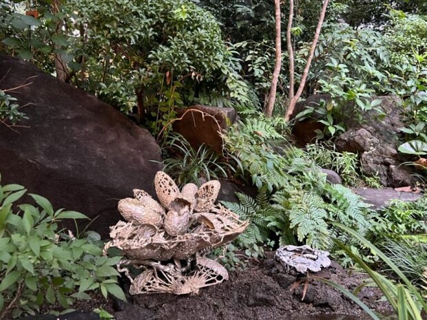 東京ビエンナーレ2025_18