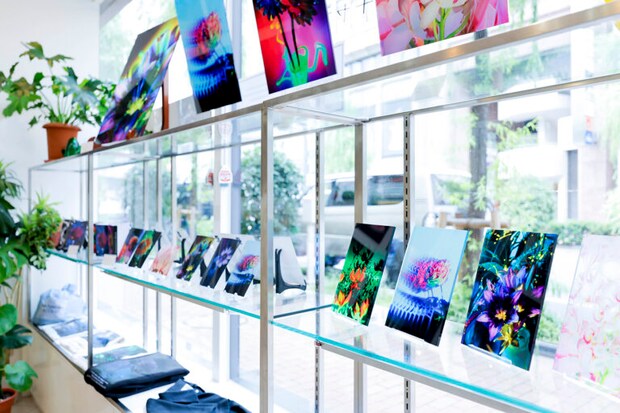 銀座のギャラリーでの展示風景。