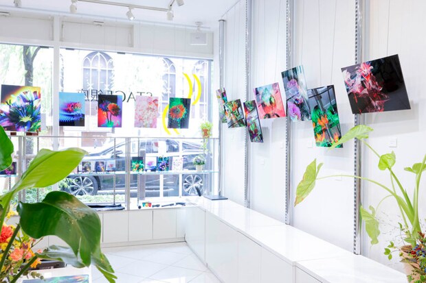 銀座のギャラリーでの展示風景。