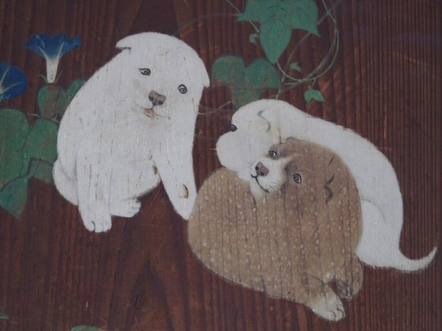 1024px-Morning_Glories_and_Puppies_P1022572