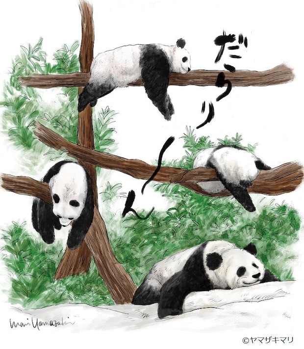 ヤマザキマリ 4