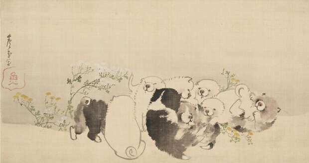 長沢蘆雪《菊花子犬図》個人蔵　前期・後期展示