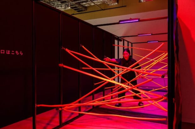 大どろぼうの家12