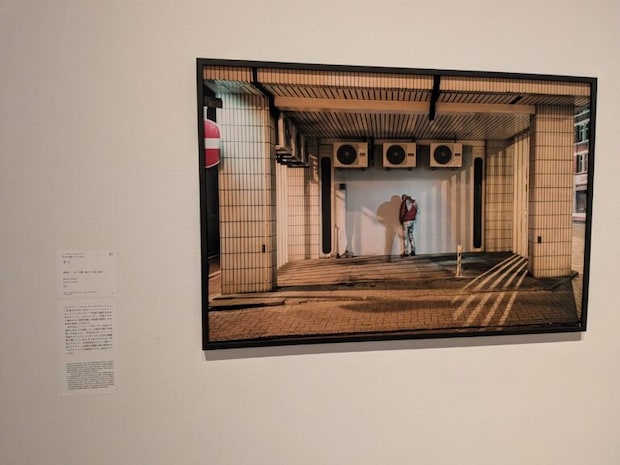 シーマス・ニコルソン《オリ》1999年