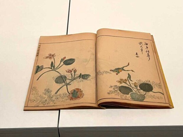 『明朝紫硯』大岡春卜 画