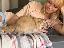 抱っこ嫌いが多い？「いいえ、あたちは例外！」 甘えん坊なブリティッシュロングヘアーの魅力