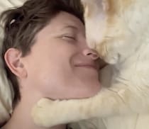 猫「ねぇねぇ飼い主こっち向いて〜」からのスリスリ！