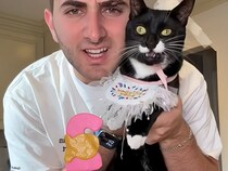 手作りVS市販のバースデーケーキ！ 猫が選んだのは“見た目より愛”がいっぱいの…