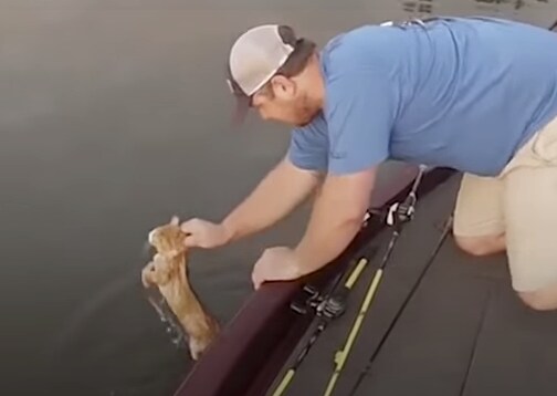 川で魚釣りをしていたら、子猫が釣れたぞー!