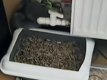 子猫がどこにもいないと思ったら…  「そこがいいの？」寝場所のチョイスが独特すぎる！