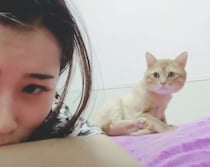 「悲ニャしいの？」泣いている飼い主を心配してくれる猫さん