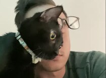 可愛い♪  メガネを吹き飛ばすほど甘えてくれる猫さん