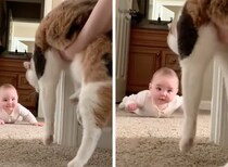 見たら笑顔が伝染する♡ 赤ちゃんと猫の可愛すぎる「いないいないばぁ！」