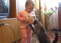 「うちの子返すにゃ！」子猫を取られたと思った母猫が…