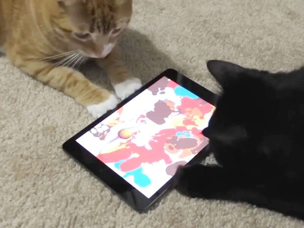 猫さんがiPadでお絵かき！どんな絵が完成するかな？