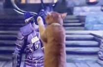 ゲームのネコ耳キャラを見た猫の反応「にゃんだコイツ…？」