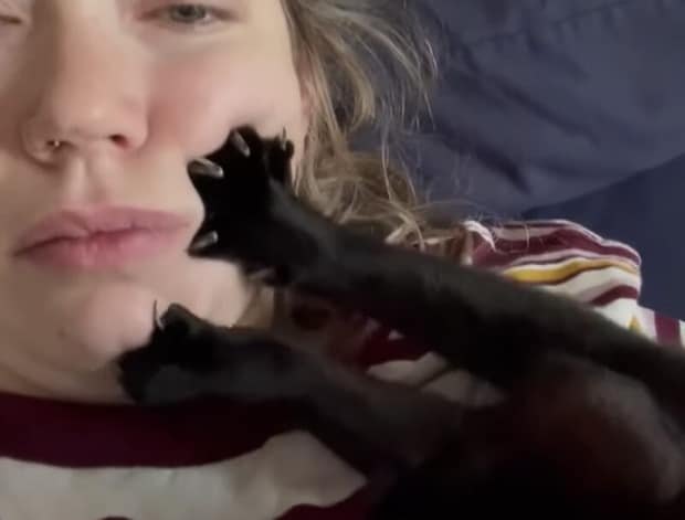 ふみふみ… 顔が痛いけど、猫が楽しそうなので止められない!