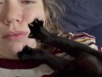 ふみふみ… 顔が痛いけど、猫が楽しそうなので止められない！