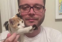 「なんでご飯くれニャいのー！」子猫をからかう男性、この後反撃が…