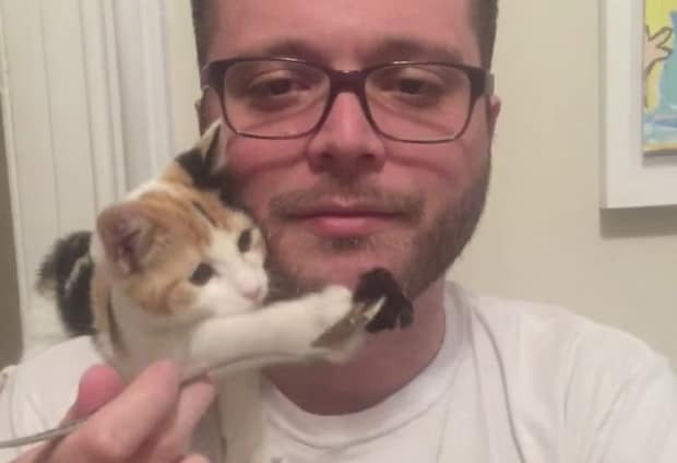 「なんでご飯くれニャいのー!」子猫をからかう男性、この後反撃が…