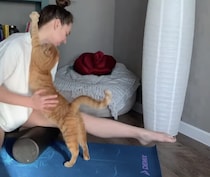 飼い主さんと仲良くストレッチ！ 甘えん坊っぷりが可愛い猫さん