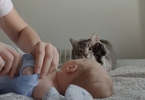 もっと赤ちゃんの近くにいたいニャ… 伸びをするフリをして接近する猫。