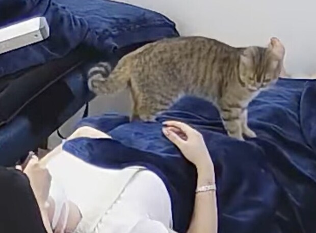 これ最高のサービスじゃん!サロンで猫のフミフミマッサージ