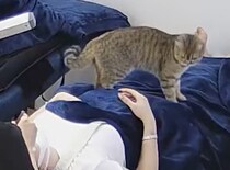 これ最高のサービスじゃん！サロンで猫のフミフミマッサージ