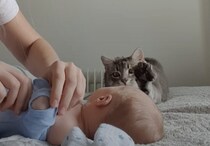 もっと赤ちゃんの近くにいたいニャ… 伸びをするフリをして接近する猫。