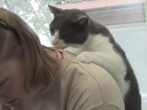 「ママさん肩こってるニャ〜」背中をマッサージしてくれる猫さん