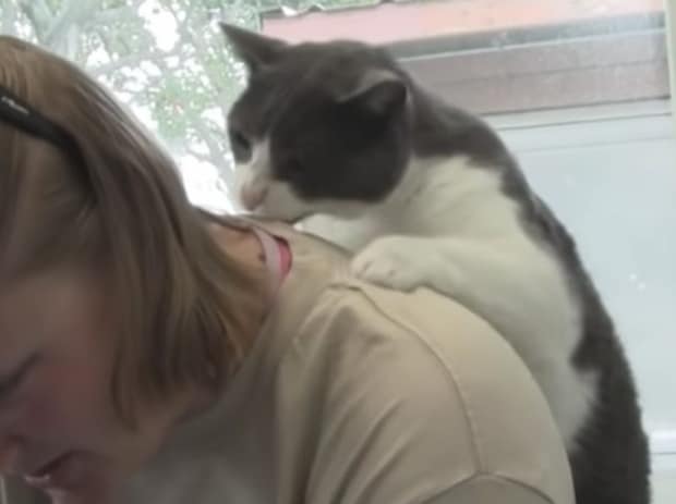 「ママさん肩こってるニャ〜」背中をマッサージしてくれる猫さん