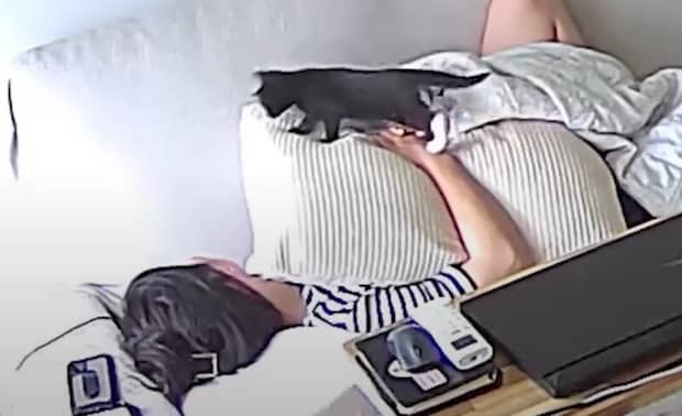 微笑ましい♡ 飼い主とお昼寝したい猫ちゃんズ