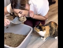 トイレの後に…うそでしょ！？ アレを食べた飼い主に猫もびっくり！