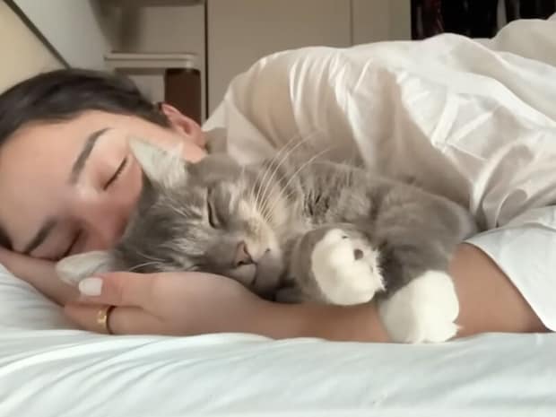 愛猫と二度寝って最高じゃない？ 一緒にゴロゴロ、そして朝ごはん
