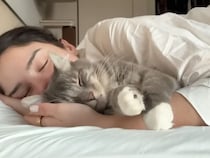 愛猫と二度寝って最高じゃない？ 一緒にゴロゴロ、そして朝ごはん