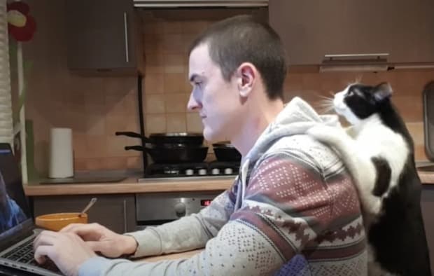 遊んで!かまって!こっち向いて!遊んで欲しい猫さん。