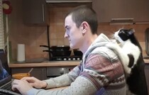 遊んで！かまって！こっち向いて！遊んで欲しい猫さん。