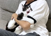 「行っちゃヤダ〜！」離れようとすると怒る猫さんが可愛すぎ。