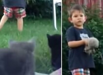 リアル「ねこあつめ」をしたい男の子、走り回る子猫に苦戦…