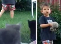 リアル「ねこあつめ」をしたい男の子、走り回る子猫に苦戦…