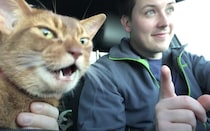 ドライブしてる時って歌いたくなるよね！ 飼い主さんの声に合わせて猫さんも「ニャニャン♪」