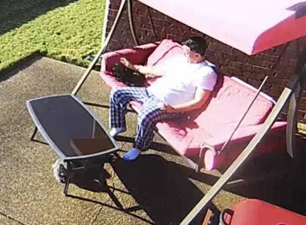 今日はツイてないなぁ、猫と日向ぼっこしていた男性に悲劇が!