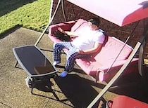 今日はツイてないなぁ、猫と日向ぼっこしていた男性に悲劇が！