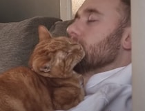 ヒゲがあればブラシは不要？ ジョリジョリを楽しむ猫さん。