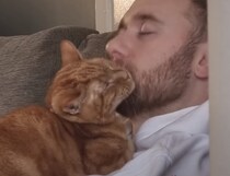 ヒゲがあればブラシは不要？ ジョリジョリを楽しむ猫さん。