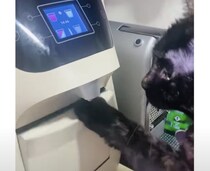 あったかいお水が飲みたい二ャ〜。機械を使いこなす賢い猫ちゃん！