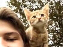 子猫時代からあっという間の6年！ 楽しいやり取りを振り返る茶トラ猫さんのお誕生日