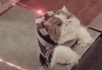 怪盗ニャンコ、金のペットフードを盗み出せるか！？